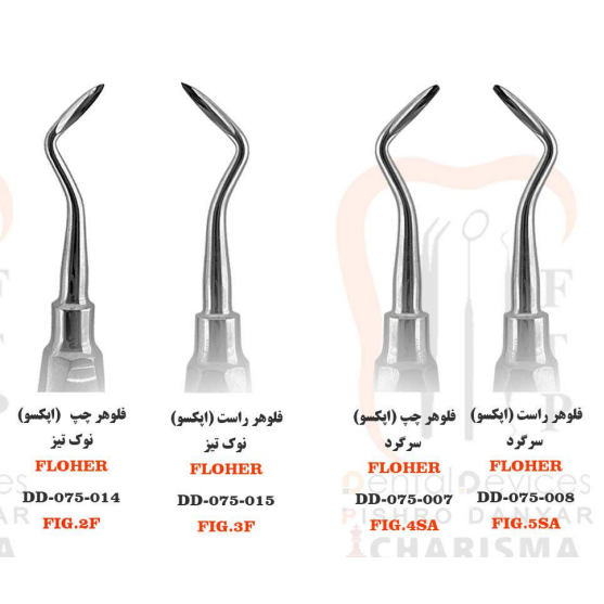 الواتور نوک ریشه فلوهر